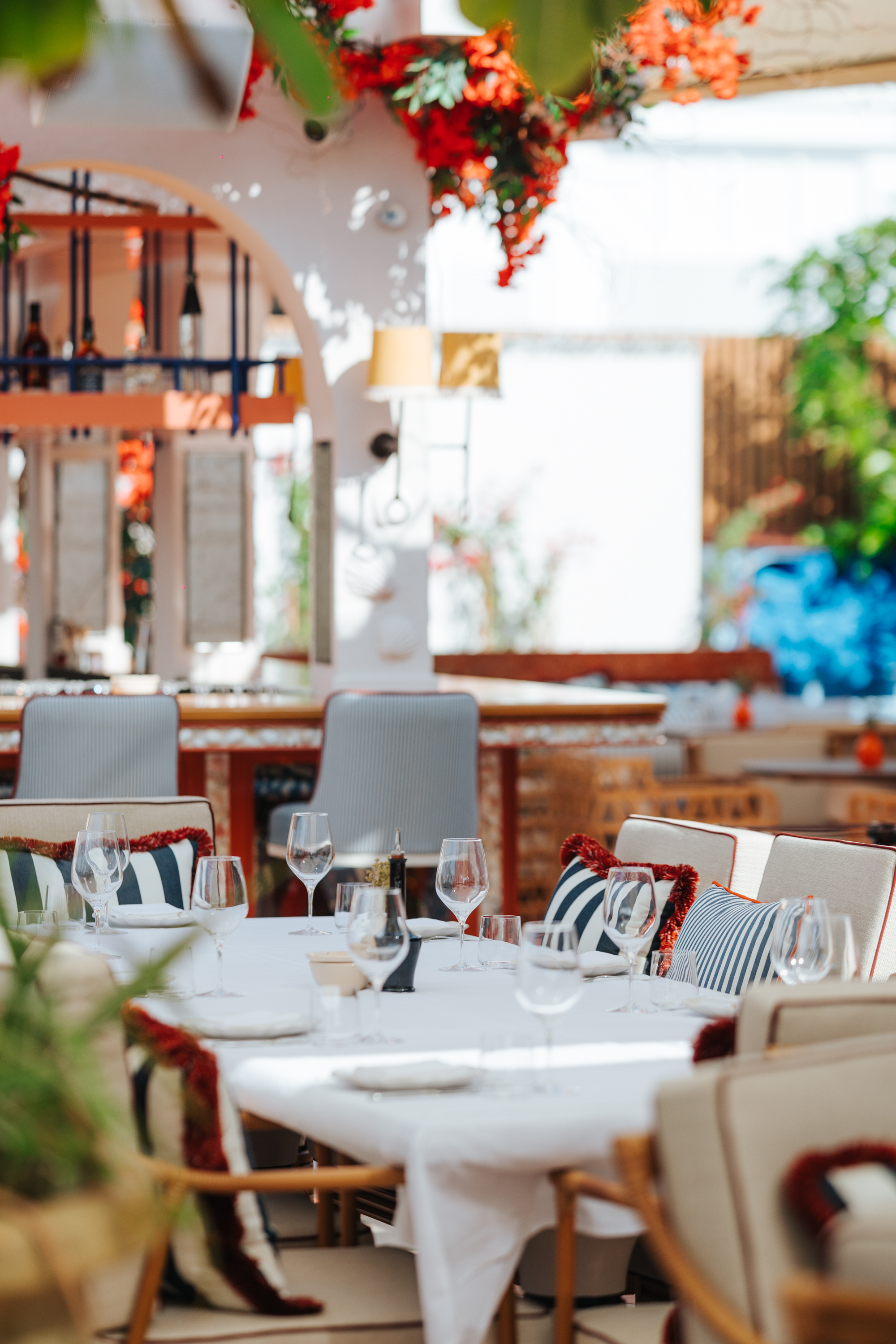 Premium restaurant interior